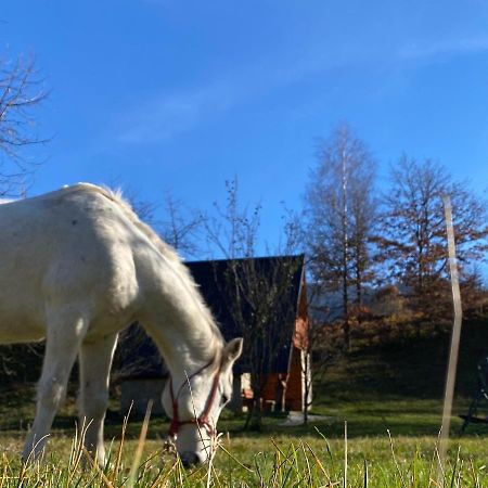 Eco Kutak Villa Mojkovac Luaran gambar