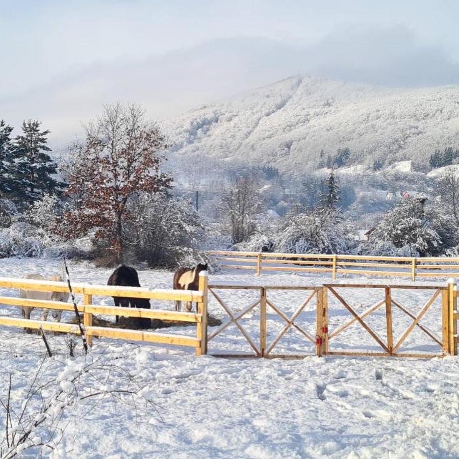 Eco Kutak Villa Mojkovac Luaran gambar